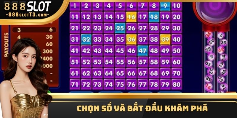 Chọn số và bắt đầu khám phá