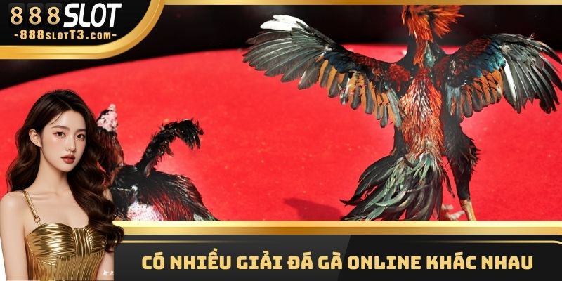 Có nhiều giải đá gà online khác nhau