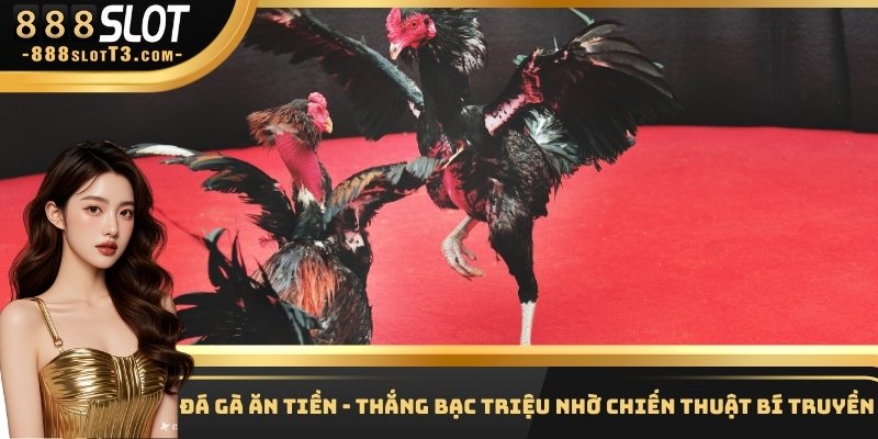 Đá Gà Ăn Tiền - Thắng Bạc Triệu Nhờ Chiến Thuật Bí Truyền
