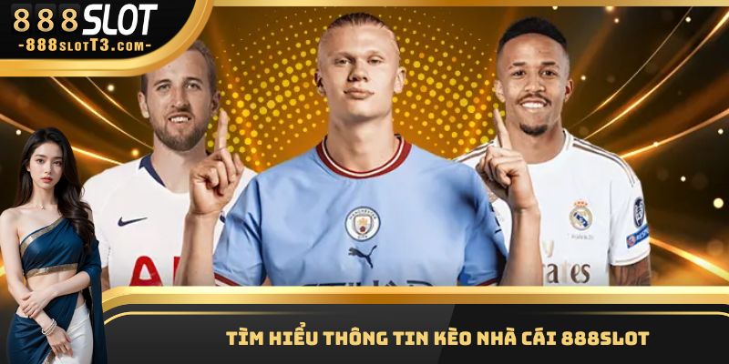 Kèo nhà cái 888Slot đa dạng, chính xác