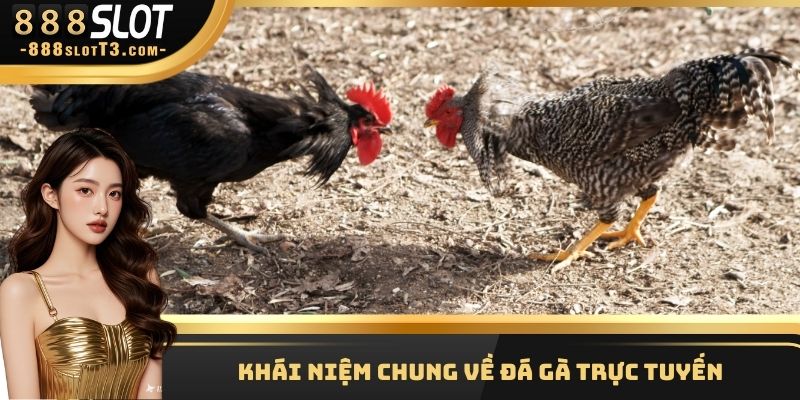 Khái niệm chung về đá gà trực tuyến