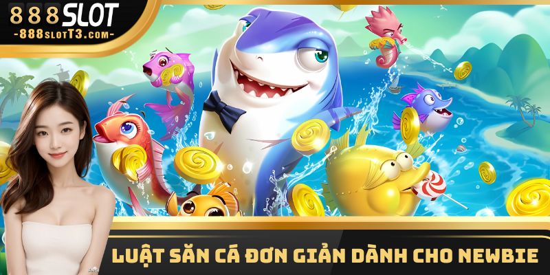 Luật săn cá đơn giản dành cho newbie