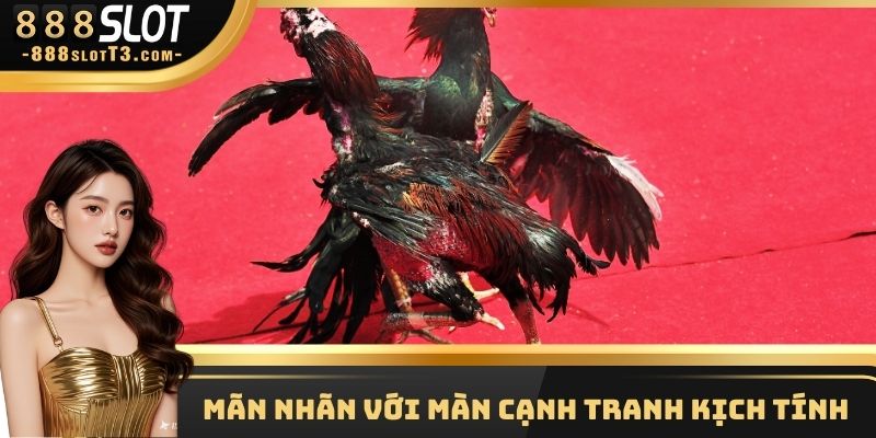 Mãn nhãn với màn cạnh tranh kịch tính