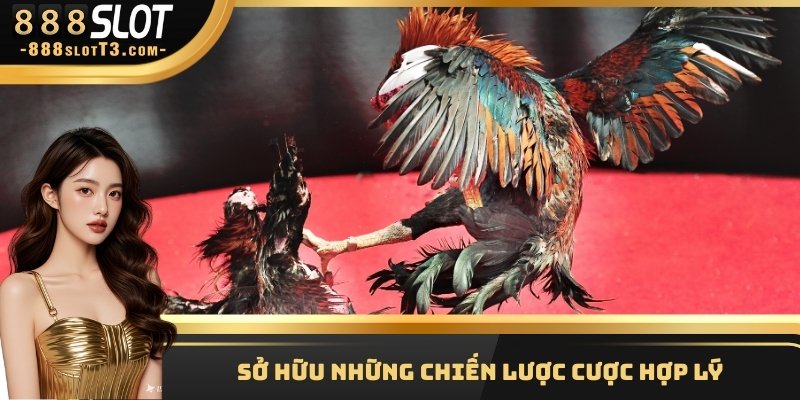 Sở hữu những chiến lược cược hợp lý