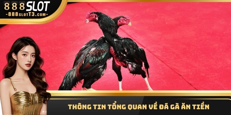 Thông tin tổng quan về đá gà ăn tiền