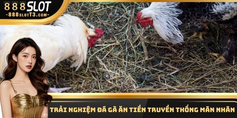 Trải nghiệm đá gà ăn tiền truyền thống mãn nhãn